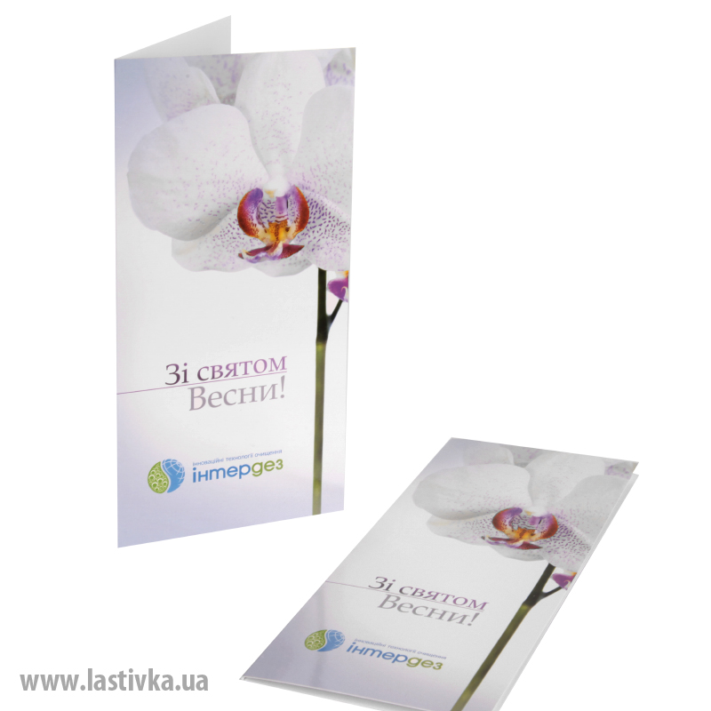 фото номер 1 N8048, Листівки authsmtp.lastivka.ua